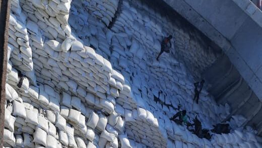 Pulse – Urad Dal